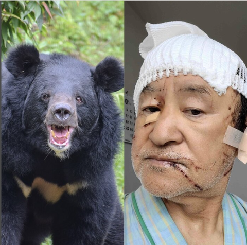 スクリーンショット 2025-10-30 024206