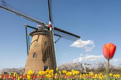 80a2404daad2cf91ff03bc5862dabad2_t