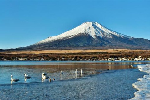 4cee291346be02e4ef5d3a9b5701c01e_t