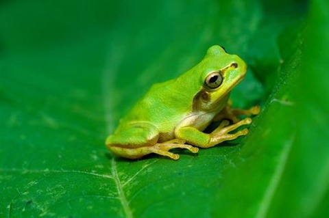 4b512e7626b584df9282bc9baff1cc0e_t