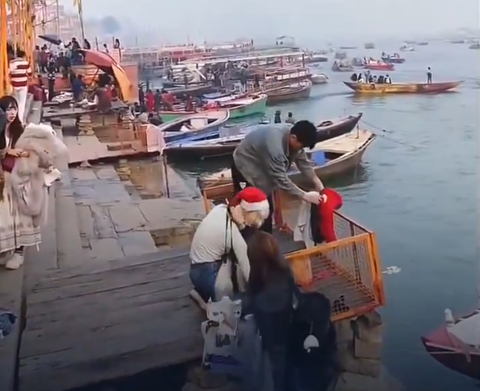 スクリーンショット 2026-01-02 035350