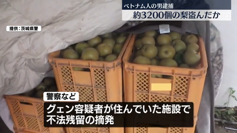 zタイトルなし