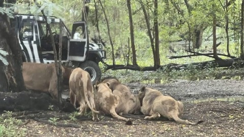 G0dtIzEW4AARKwV_1757513950122_1757513956457