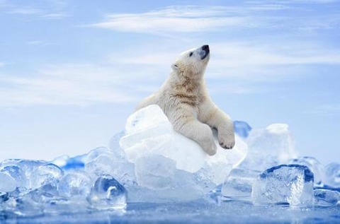 1577e847f6692a88f28df68b4dbab97a_t