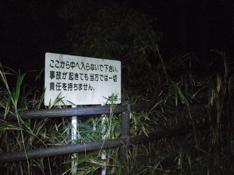 DSCN1939