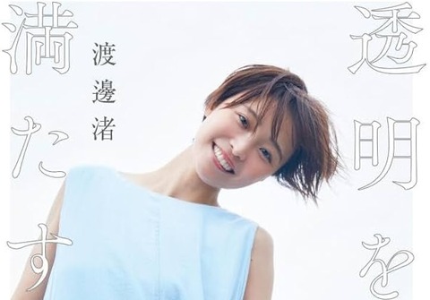 51olsk31WeL._AC_UF1000,1000_QL80_