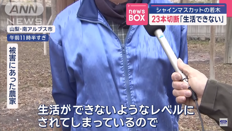 スクリーンショット 2025-03-12 043037