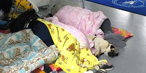o-KUMAMOTO-EARTHQUAKE-facebook