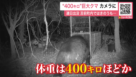 スクリーンショット 2025-10-31 011137