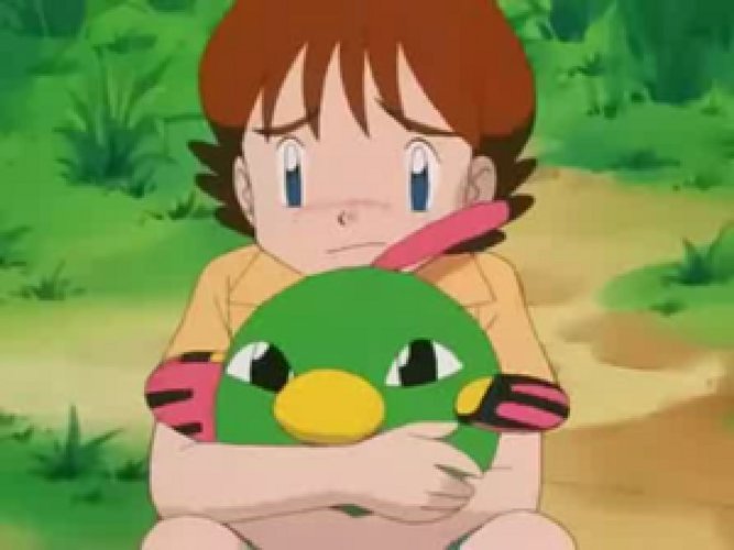僕氏の好きな ポケモンアニメ の 可愛いキャラランキング を発表します きままと 僕氏の好きな ポケモンアニメ の 可愛いキャラランキング を発表します きままと