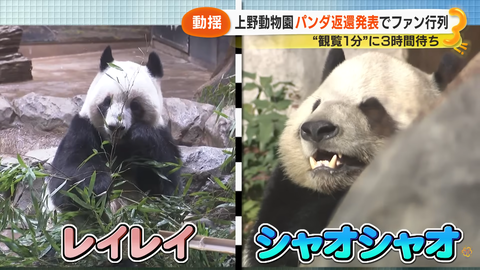 スクリーンショット 2026-01-20 033929