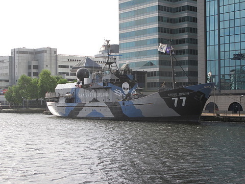 800px-MY_Steve_Irwin-Sea_Shepherd_Conservation_Society