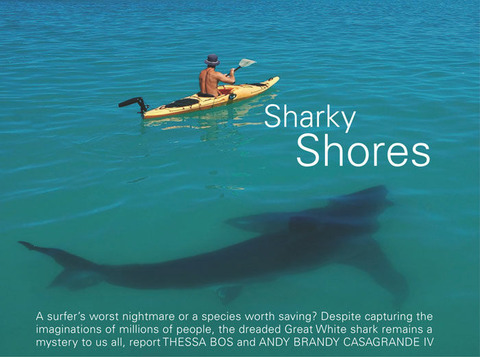 200511bigissuesharkyshores2