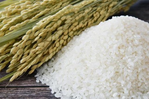 88079ffb5b5a1bef8264168571a68658_t