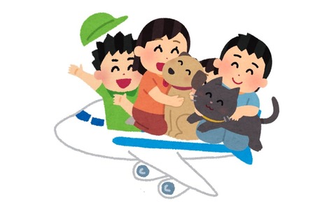 Collage 2024-01-22 09_45_58