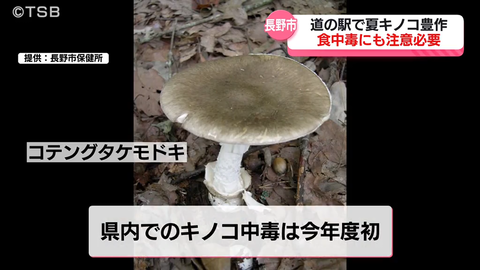 タイトルなし