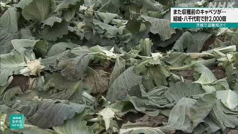 1000112248_20241218205835_m