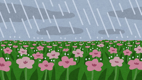 bg_rain_natural_flower
