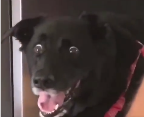 無題6