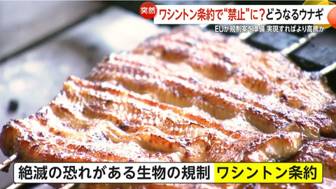 スクリーンショット 2025-08-30 172728