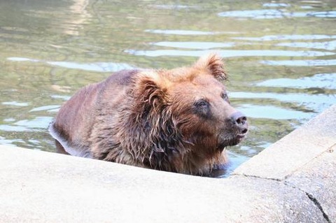 3e419396e1587fada137e73ffb058a38_t