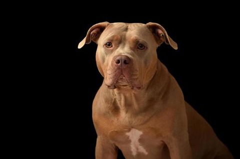 c20fae74727369f622060ebb40d273d9_t