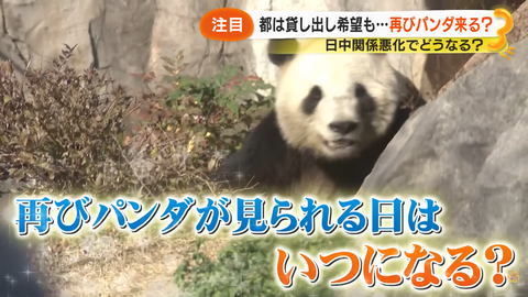 スクリーンショット 2026-01-20 034040