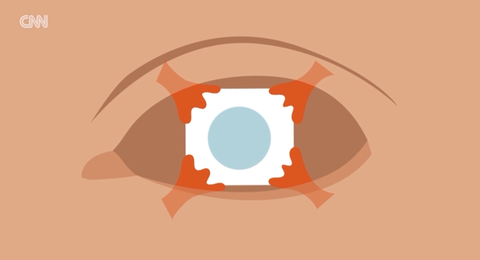 スクリーンショット 2025-09-18 190947