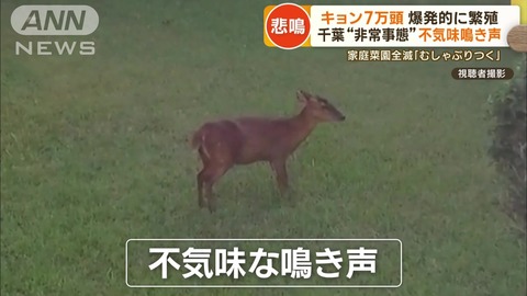 900000749_img_b18a59075bc1f443aeda79f8bb5e7c0a226024