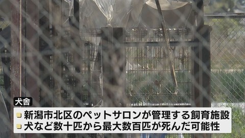 20250427-04753334-teny-000-2-thumb