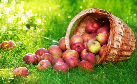 apple-fruit-wallpapers-3