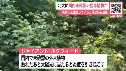 スクリーンショット 2025-06-25 174756