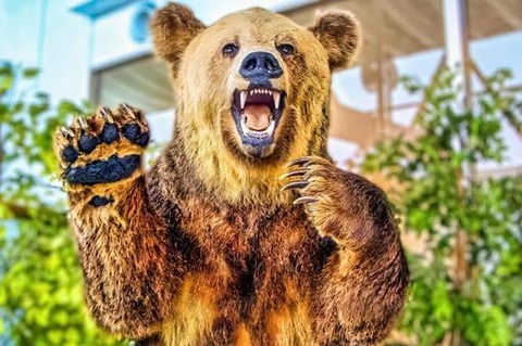 98998168bd969b2b7c03fc13f95bb41b_t