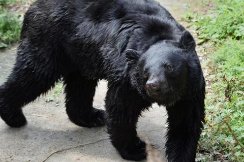 357c76c8c94af76e8587951a4a50010b_t