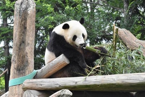 a89e1bbf04078eb50f2d8679acaf0b62_t