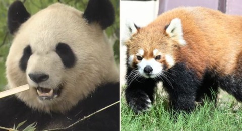 Collage 2025-07-10 20_39_48