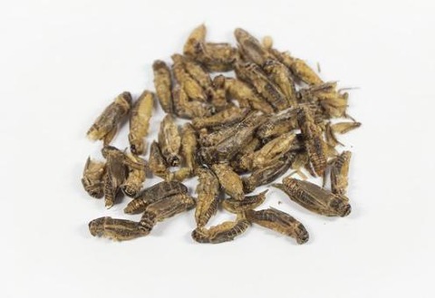 76841f65c3ad8ffd2c1d078cea46dda4_t