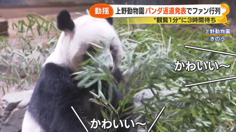 スクリーンショット 2026-01-20 033941