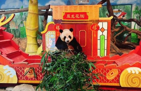 ed321e66499a9fc7bf883744ff4bb67b_t