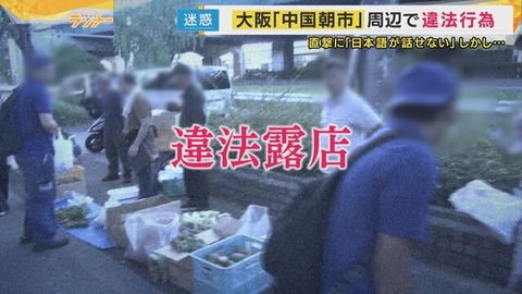 20250801-90021122-kantelev-000-5-view