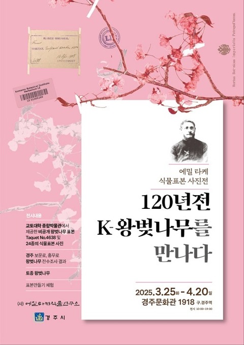 8cc3d_1563_50c94c0da5b50870d6edfdca3e10c9c6