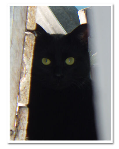 200401