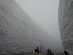 ガスの中、雪の大谷最高地点15m