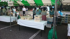 梨の山