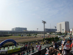 船橋競馬場ダートランニングフェスタ場内