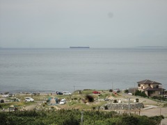 お台場海浜庭園キャンプ場