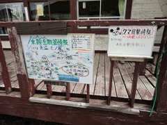散策情報・クマ情報