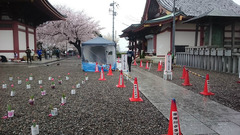 質素なゴール地点