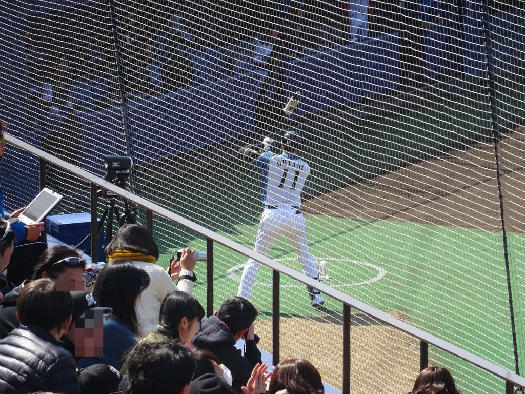 大谷翔平を見に行ってきた ああ 馬込沢