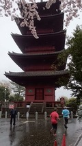 五重の塔
